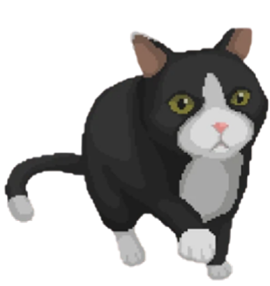 Portrait of Momo