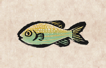 Salema Porgy