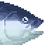 Bluefin Tuna Ootoro