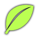 Grass