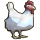 Chook