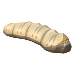 Grub