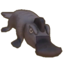 Wild Plunk
