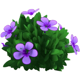 Purple Hibiscus