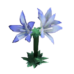 Royal Bluebell