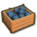 Quandong Box