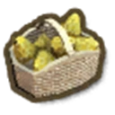 Yellow Morel Basket