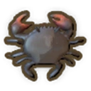 Mud Crab