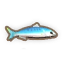 Anchovy
