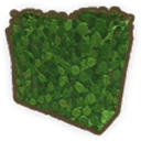 Hedge