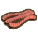 Worms