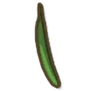 Green Bean