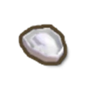 Saltbush Seed