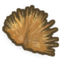 Spinifex Tuft