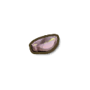 Bottle Tree Seed