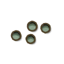Fir Grass Seed