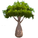 Bottle Tree