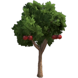 Cherry Tree