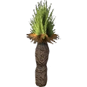 Grass Tree
